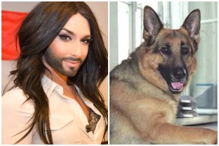 You can't tell me they make an unattractive pair.